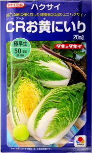 y^LCczCRɂ蔒؁@20ml@