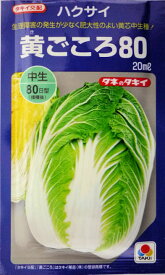 【タキイ種苗】黄ごころ80白菜　20ml　
