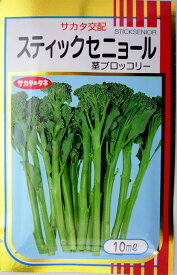 【サカタのタネ】茎ブロッコリー　スティックセニョール 10ml