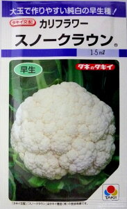 y^LCczXm[NEJt[@1.3ml