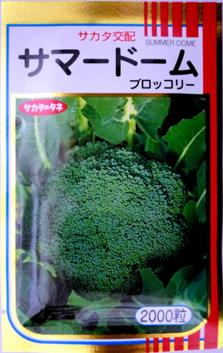 楽天市場 サカタのタネ サマードームブロッコリー 00粒 船木種苗店