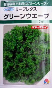 �y�^�L�C��c�z�O���[���E�F�[�u�@1.8ml