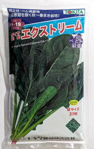 ygL^czGNXg[ق񑐁@M@30000