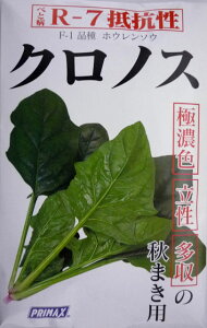 �y�T�J�^�̃^�l�z�N���m�X�ق���񑐁@M�@��1500��