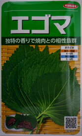 楽天市場 えごま 苗の通販
