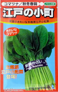 y{_юЁz]˂̏؁@10ml