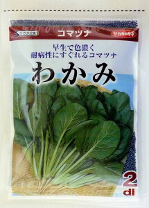 yTJ^̃^lz킩ݏ؁@2dl