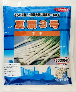 yTJ^̃^lzĐ3{lM@R[g6000