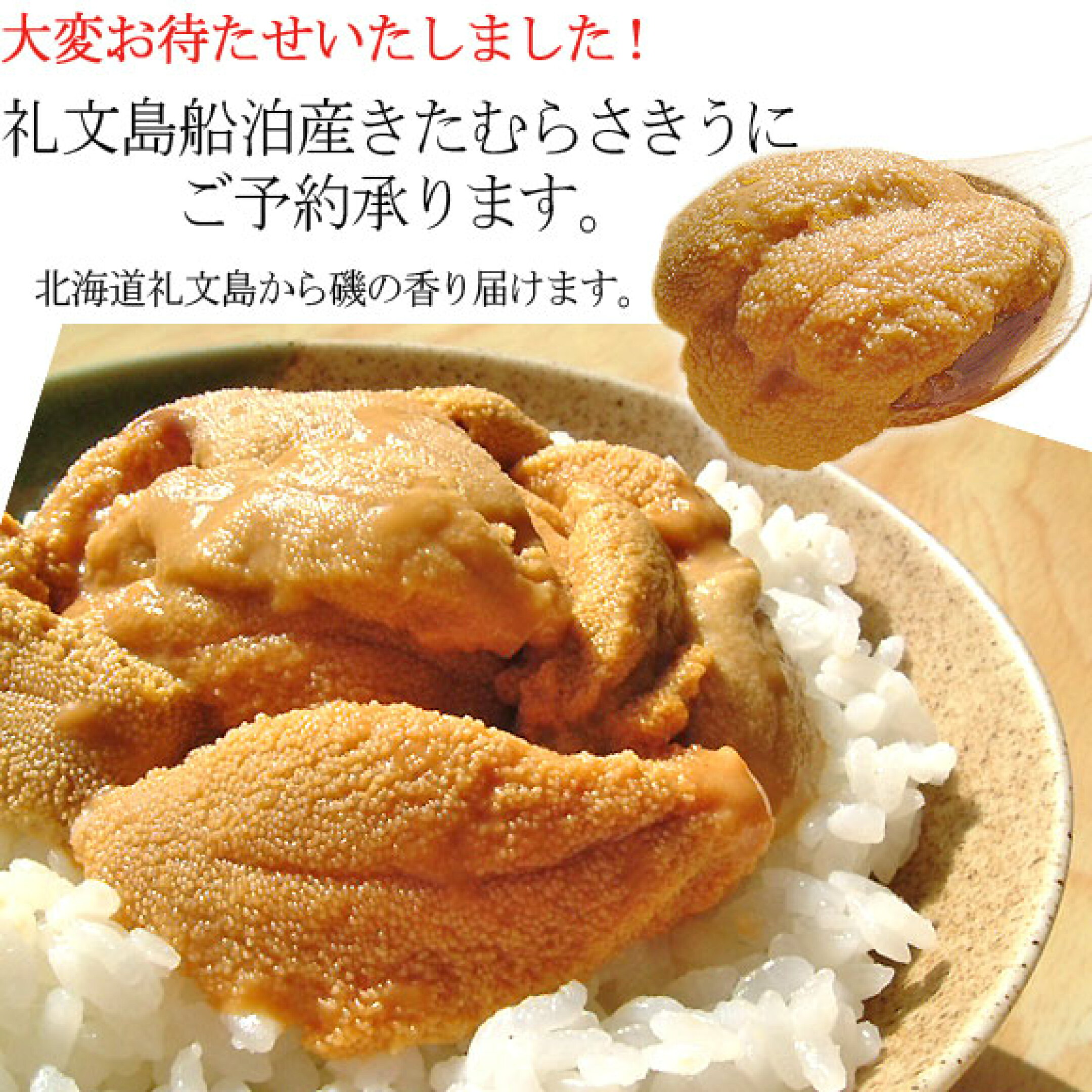 礼文島船泊産塩水生キタムラサキウニ