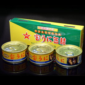 宝うに缶詰 キタムラサキウニ3個セット