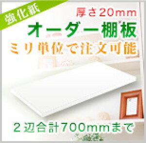 yF20mmz~PʃI[_[ChI@v700mm܂