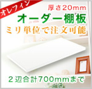 yItBV[gF20mmz~PʃI[_[ChI@v700mm܂