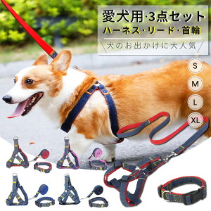 n[lX [h  3_Zbg p [h pn[lX ^ ^ ^ v \ ցEn[lX ybgp y ߉\ h~ U op iC fj