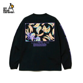 【go slow caravan ゴースローキャラバン】USA/C スクエアLOGOバックプリント ロングスリーブTEE (MENS) ブラック ロンT バックプリント USAコットン 丈夫 タウンユース アウトドア 702381040040