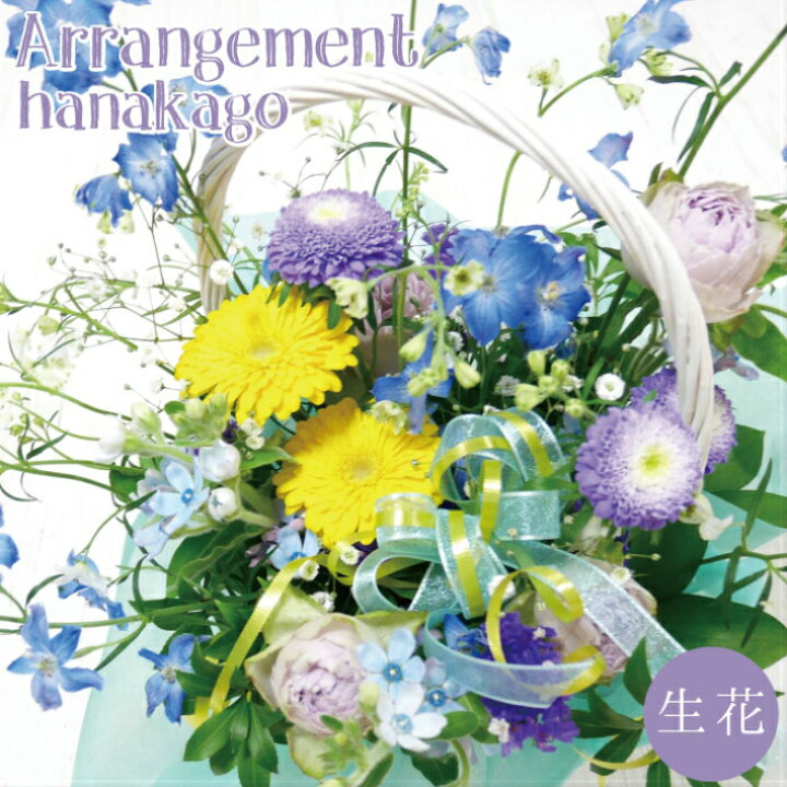 楽天市場 生花 花籠 青 紫 黄色 花 プレゼント ギフト 母の日 誕生日 結婚式 結婚祝い 結婚記念日 退職祝い 出産祝い おまかせアレンジメント 敬老の日 開店 オープン お祝い フラワー お見舞い 送別 卒業 入学 感謝の気持ち 贈り物 花 Fun Daily