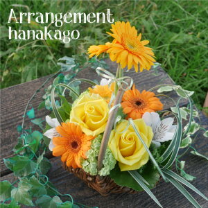 生花 カラー花の人気商品 通販 価格比較 価格 Com 生花 カラー花の人気商品 通販 価格比較 価格 Com