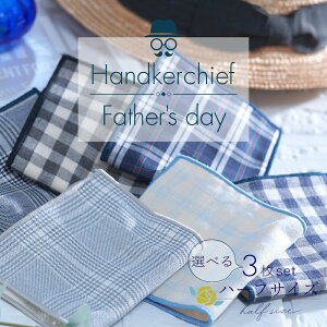 K[[ nJ` Iׂ3Zbg { 100 10.5cm×20cm 6dK[[  킢 fB[X Y jZbNX 1000~|bL ɗD |Pbgɓn[tTCY v