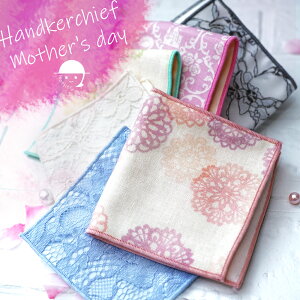 ̓ K[[ nJ` Iׂ3Zbg { 100 10.5cm×20cm  킢 fB[X q 1000~|bL 6dK[[ ɗD |Pbgɓ n[tTCY  v`