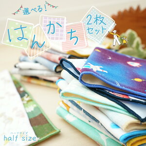 nJ` Iׂ2Zbg { 100 6dK[[ 10.5cm×20cm 1000~|bL  킢 fB[X Y q nJ`^I ɗD |Pbgɓ n[tTCY v