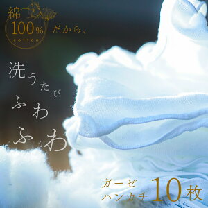 2dK[[ nJ` 10Zbg 34×34cm Ԃ xr[ p { 100% 1000~|bL K[[ @ 悾ӂ oYj  Rbg ^I j  ӂ _炩 oY