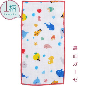 nJ` 1 100% K[[n n[tTCY10.5×20cm ANAE/sN