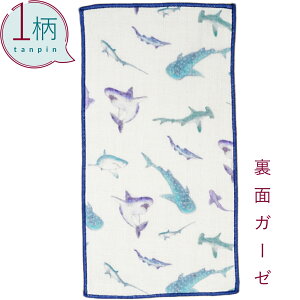 nJ` 1 100% K[[n n[tTCY10.5×20cm T/zCg