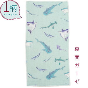 nJ` 1 100% K[[n n[tTCY10.5×20cm T/u[