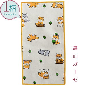 nJ` 1 100% K[[n n[tTCY10.5×20cm `xXi