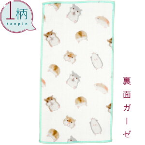 nJ` 1 100% K[[n n[tTCY10.5×20cm nlY~