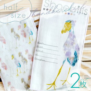 nVrRE  K[[ nJ` 2Zbg { 100% 10.5cm×20cm XIWi  킢 fB[X Y q ɗD 6dK[[ fH u |Pbgɓ n