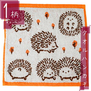 ^I nJ` 1 100% XNGATCY25×25cm ͂˂/IW