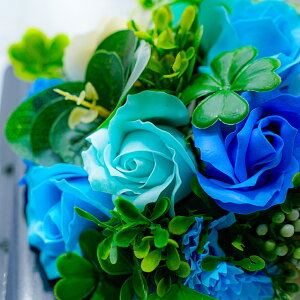 ̓ \[vt[ ~jt[P[L  t[Mtg Ό V{t[AWg  v[g a  LO oY ̓ j ސE   w o/J