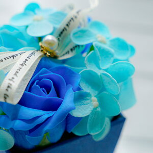 ̓ \[vt[ u[() 1c o / AWTC yXe_u[z