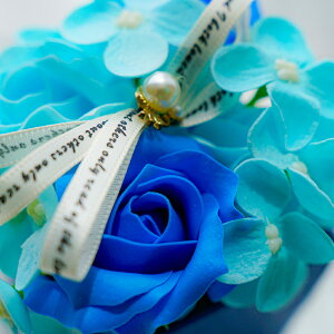 ̓ \[vt[ Xe  t[Mtg Ό t[AWg V{t[ p[eBV  v[g a  LO ސE oY ̓ j ʉ w