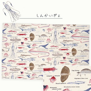 `}bg Iׂ3Zbg wZ̊ɂ҂TCY 55cm×35cm O^Ot H j̎q ̎q 傫 `NX z 􂦂 wZ itL  qp `}bg 