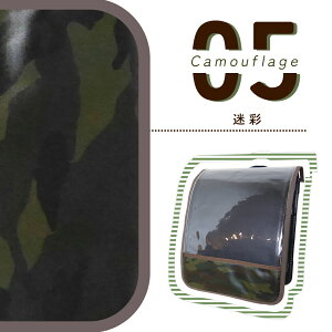 hZJo[   J  w ʊwH y1c_dinosaur-brz