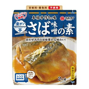 【公式】フンドーダイ 楽チン亭 さば味噌の素 60g【電子レンジ調理 簡単 時短 定番 おかず フンドダーイ】