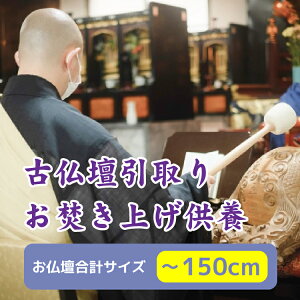 Õd グ{ dvTCY`150cm d d ʔv ʔv VBFUNE t[l