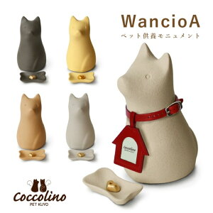 ڃjg Cocolino RbR[m  Wancio A `A ybg{  茳{ 킢 [ VB t[l FUNE