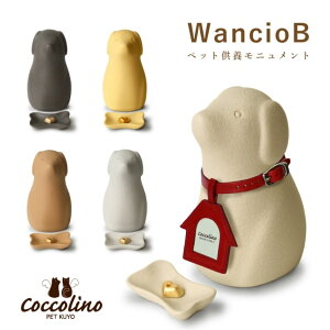ڃjg Cocolino RbR[m  Wancio B `B ybg{  茳{ 킢 [ VB t[l FUNE