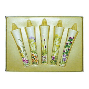 bq̉؁yHz菑 5{ 낤 ~  ig FUNE VB