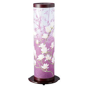 z3Ԃނ炳y7415zyz ~ ~  V~  Mtg  VBFUNE t[l