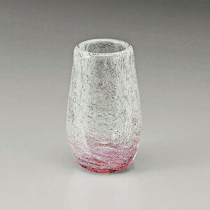 ~iX   ~j _ RpNg  㕧d   VBFUNE t[l