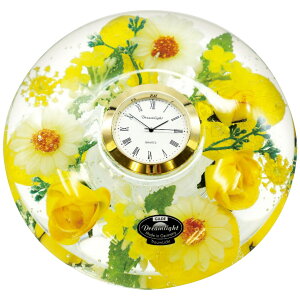 TԂ @v ԗi @ e{ [ h[NbN v~A XvOt[ ]   Au    V   Ԃ ԗ ei O u   O