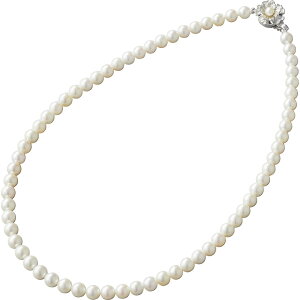 yXSi|Cg5{zTԂ @v ԗi @ e{ [ AR{^lbNX NS6 ]   Au  V   Ԃ ԗ ei u  O 49 l\ 