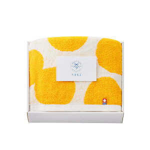 TԂ @v ԗi @ e{ [ HW tFCX^I×1 I-77204 ]   Au    V   Ԃ ԗ ei O u   O 49 l