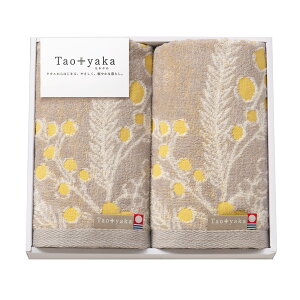 TԂ @v ԗi @ e{ [ Taoyakai~Uj tFCX^I2P TAO-21Y ]   Au    V   Ԃ ԗ ei O u   O 49 l