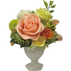 TԂ @v ԗi @ e{ [ tBl vU[uht[W bc-13101-OR ]   Au    V   Ԃ ԗ ei O u   O 