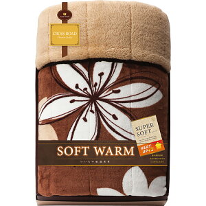 TԂ @v ԗi @ e{ [ NX[h@ԁ@ɂӂ퍇ȓѕz 24100 ]   Au    V   Ԃ ԗ ei O u  