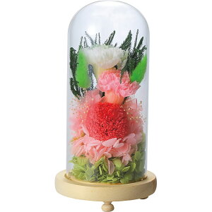 TԂ @v ԗi @ e{ [ KXh[AWg C29320 ]   Au    V   Ԃ ԗ ei O u   O 49 l\